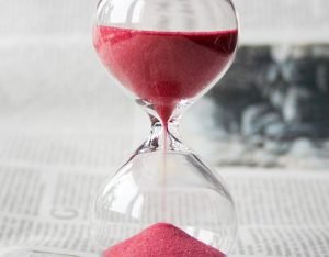 Il valore dell'attesa: nell'orto come nella vita