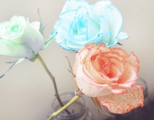 Attività: siamo ciò che mangiamo