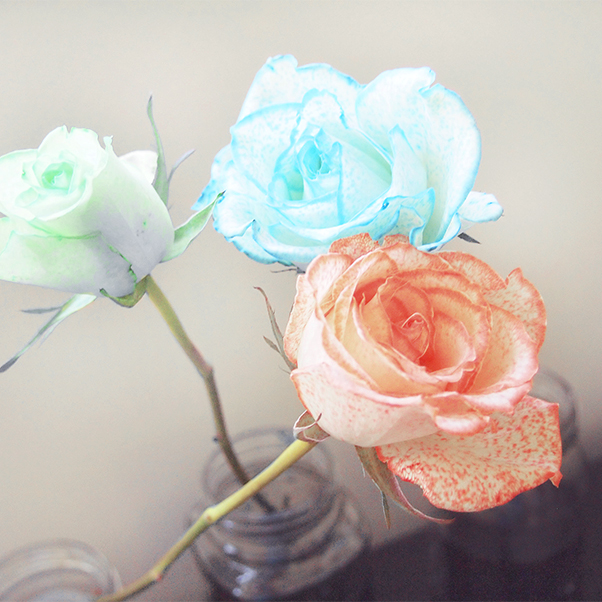 Attività: siamo ciò che mangiamo