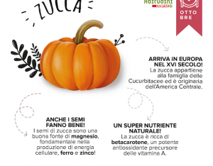 La Zucca