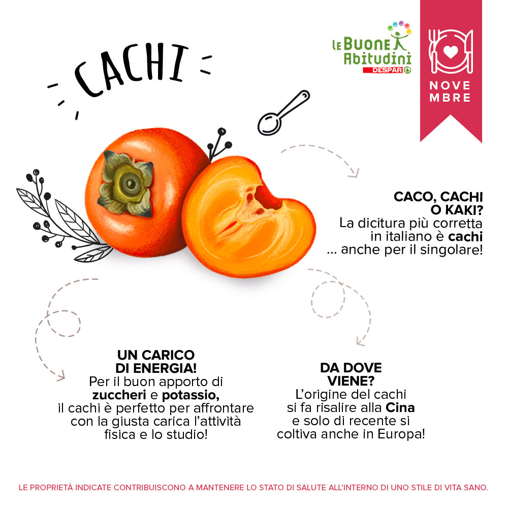 Orto-Scuola: il Cachi