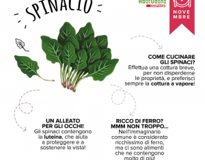 Orto-Scuola: lo Spinacio