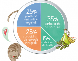 Piatto Unico: la ricetta della sana alimentazione in 5 mosse!