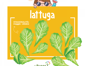 Lattuga: stagionalità, proprietà e condimenti!