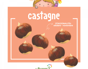 Castagne, farina di castagne e marroni!