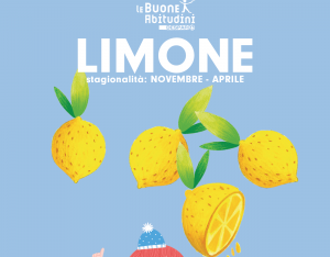 Bello come il sole d'inverno: ecco il limone!